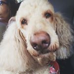 Profile Picture of Rudy Ralph Robertson (@rudyralph14) on Instagram