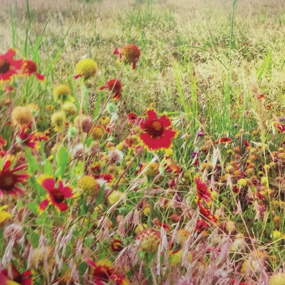 Profile Picture of William Revak (@williamrevak) on Poshmark