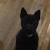 Profile Picture of Antonio Branch (@antonio.branch.3367) on Facebook