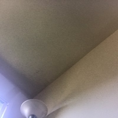Profile Picture of H (@AndrewMarrone1) on Twitter