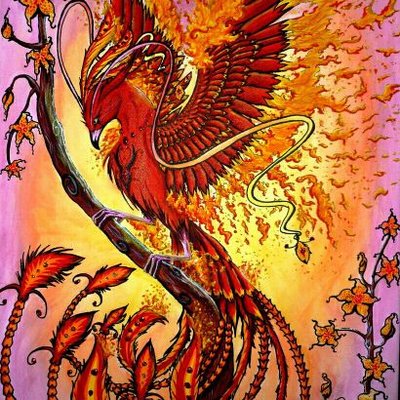 Profile Picture of Phoenix Adam (@PhoenixAdam1) on Twitter