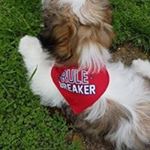 Profile Picture of Trudy Walker (@58trudy) on Instagram