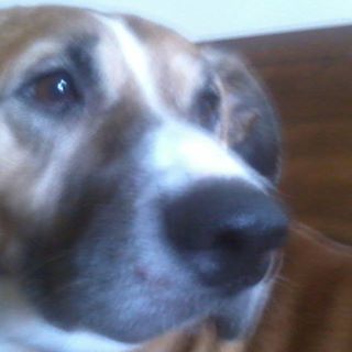 Profile Picture of Jim Mirabella (@jim.mirabella.9) on Facebook