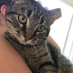 Profile Picture of Victoria Purdy (@viccluvsmochi) on Instagram
