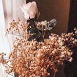 Profile Picture of le_ymann (@le_ymann) on Instagram