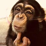 Profile Picture of Neil Kirby (@neil.kirby.984) on Instagram
