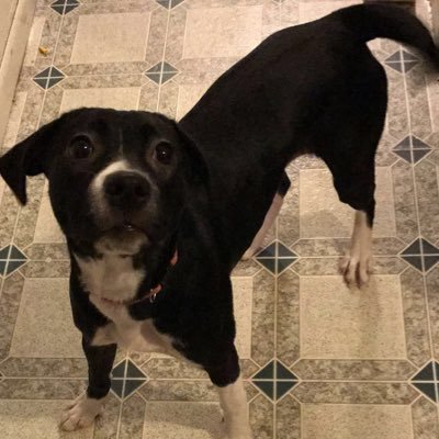 Profile Picture of Cody Shultz (@Cody_Shultz24) on Twitter