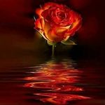 Profile Picture of Rudolph Joseph (@rudolph.joseph) on Instagram