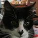 Profile Picture of Ian Dilling (@ianbjorndilling) on Pinterest