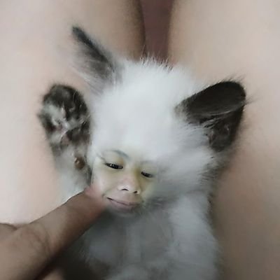 Dead_na - Twitter Profile Picture of Dead_na (@AnneAbela) on Twitter