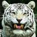 Profile Picture of David Holdren (@david.holdren.754570) on Facebook