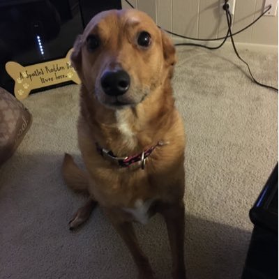 Profile Picture of Joe Ascoli (@Joe_Ascoli) on Twitter