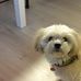Profile Picture of Ginette Lessard (@ginette.lessard.5) on Facebook