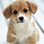 Profile Picture of Isabel Loredo (@loredoesmeralda65) on Instagram