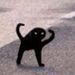 Profile Picture of Zachary Thames (@zacharythamesschool) on Pinterest