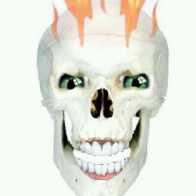 Profile Picture of Rancel Felix Cueto (@rancel_97) on Twitter