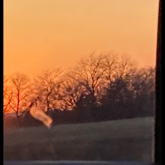 Profile Picture of Arrin Huth (@arrinhuth13) on Poshmark