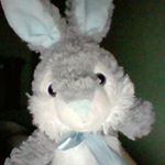 Profile Picture of Drew P. Balls (@dumbitch_things) on Instagram