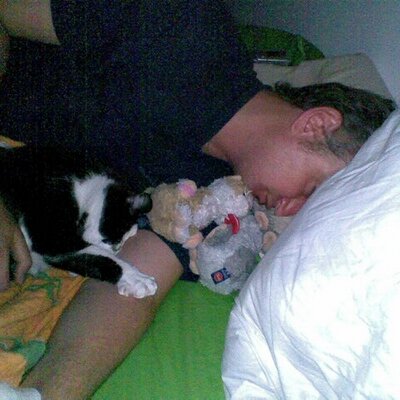 Profile Picture of Davor Matijasevic (@davormatijas) on Twitter