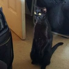 Profile Picture of Andrew Canoy (@AndrewCanoy) on Twitter