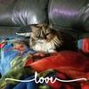 Profile Picture of tamarawalters1129 (@tamwalters1129) on Tiktok