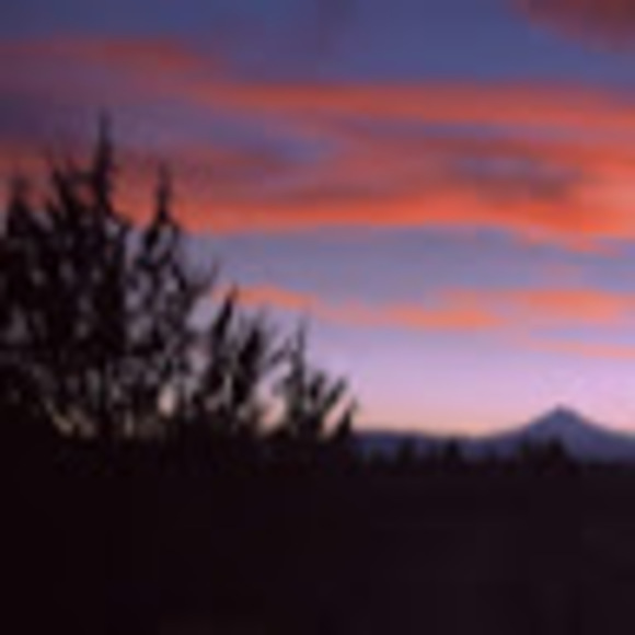 Profile Picture of Daphne Ischer (@daphne_ischer) on Poshmark