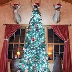 Profile Picture of Kimberly Smalling Decker (@kraedecker) on Instagram