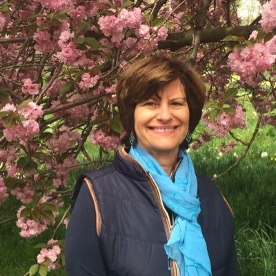 Profile Picture of Aimee B Levy (@@LevyAimee) on Twitter