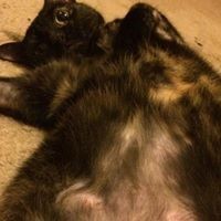 Profile Picture of Christopher Benson (@christopher-benson-15) on Quora