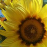 Profile Picture of Gary Spike OSullivan (@spikegary0100) on Instagram