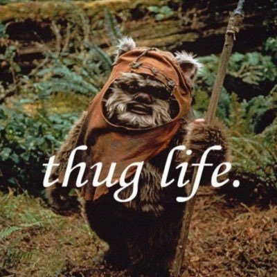 Profile Picture of Jim Gatewood (@ERMERGERDitsJim) on Twitter