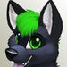 Profile Picture of Forest The Wolf (@chloe70792) on Pinterest