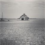 Profile Picture of Tonya Hull (@blueyedbrat30) on Instagram