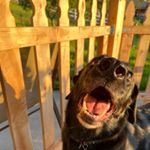 Profile Picture of Matthew Sharp (@matthew.sharp.is.they) on Instagram