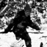 Profile Picture of Kevin Boyd (@bigboydizzle) on Instagram