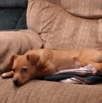 Profile Picture of Greg Jannenga (@greg.jannenga) on Facebook