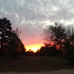 Buddy Burns - Instagram Profile Picture of Buddy Burns (@jesseburns.buddy) on Instagram