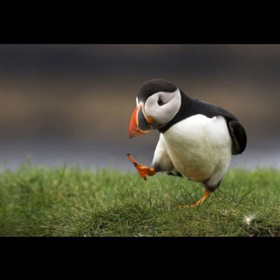 Amanda Craig - Twitter Profile Picture of Amanda Craig (@AmandaCraig75) on Twitter