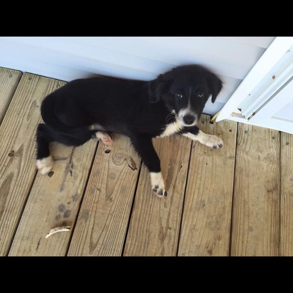 Profile Picture of Kris Byrd (@kris_1157) on Poshmark