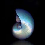 Profile Picture of Peter Masters (@studioqube) on Instagram