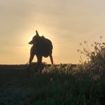 Profile Picture of Alexander D’Ippolito (@alexanderdippolito) on Instagram