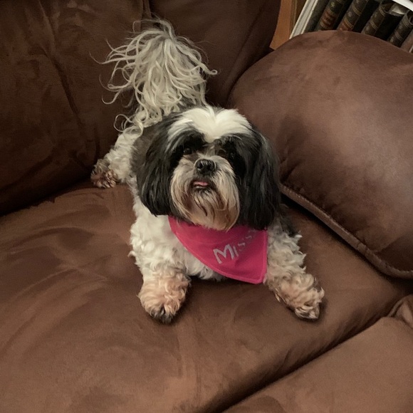 Profile Picture of Robin Blackwell (@blackwellro) on Poshmark