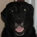 Profile Picture of Lauren Oliphant (@laurencoliphant) on Pinterest