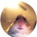Profile Picture of Jason Gelsinger (@jason.gelsinger.9) on Facebook