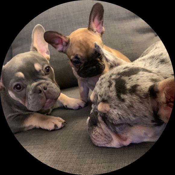 Profile Picture of Alicia Furth (@guid0) on Poshmark