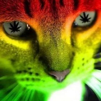 Profile Picture of Fernando Vizcarra (@nando_vizcarra) on Twitter