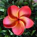 Profile Picture of Lana Pascal (@lana.pascal.982) on Facebook