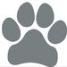 Profile Picture of Sassy Pups (@allisonl27) on Pinterest
