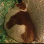 Profile Picture of Thomas Miller (@thomas__miller) on Instagram