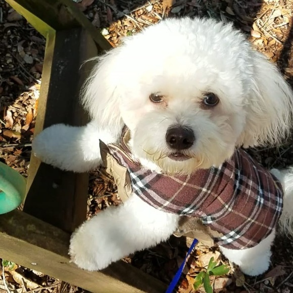 G Hanberg - Poshmark Profile Picture of G Hanberg (@graciegrace123) on Poshmark